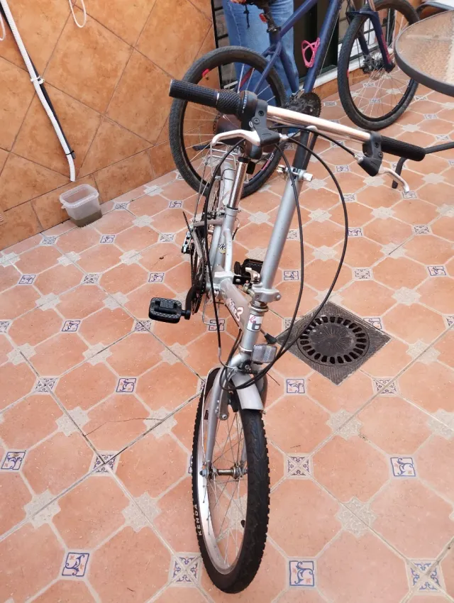 Bicicleta pieghevole Easy Bike 3