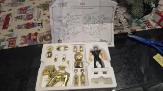 Cavalieri dello Zodiaco Leone