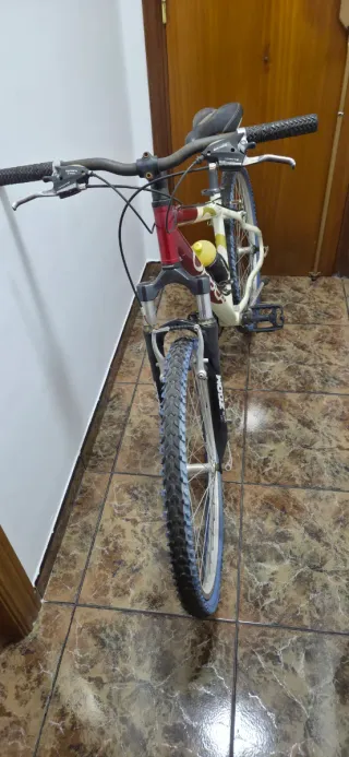 Bicicleta de montaña Orbea