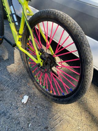 Bicicleta Montaña Verde Neumáticos Rosas