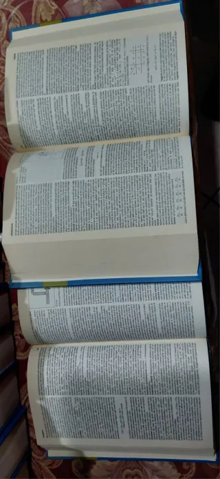 Enciclopedia L' Universale Ed. 2005