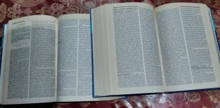 Enciclopedia L' Universale Ed. 2005