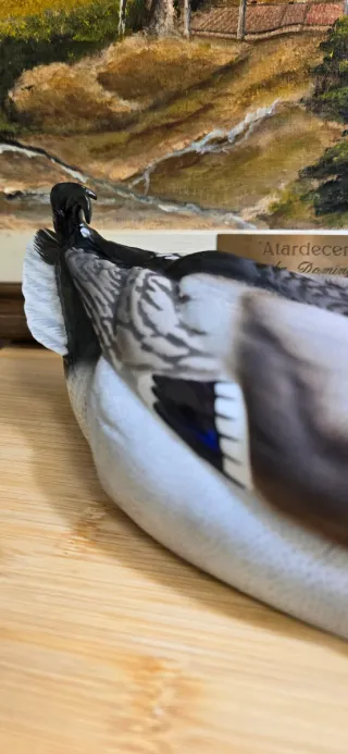 Pato de porcelana Martinu pintado a mano