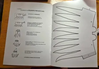 Il polpo tuffatore. Ediz. illustrata