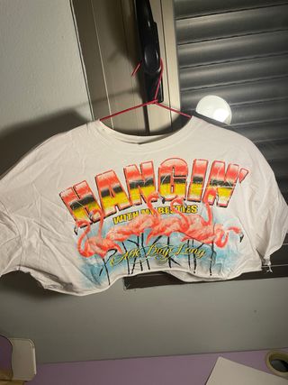 Camiseta Crop Top Flamencos Hangin