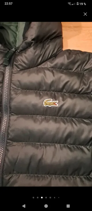 Chaqueta acolchada Lacoste verde