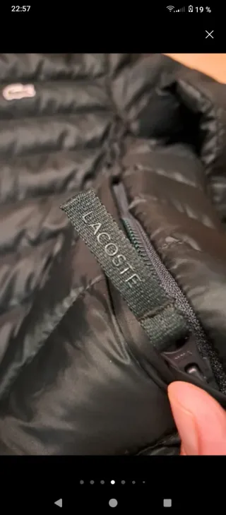 Chaqueta acolchada Lacoste verde