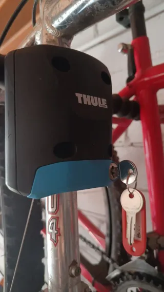 Cadireta Thule Ridealong