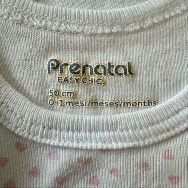 8 Body 0-3 mesi Prenatal e Ellepi