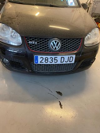 Despiece Golf V 1.9 TDI