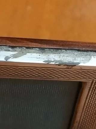 Portafoto antico legno e argento 800