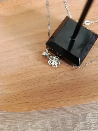 Conjunto collar y pendientes plata flor