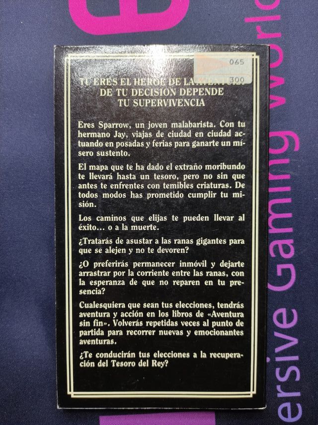 El tesoro del rey D&D 9