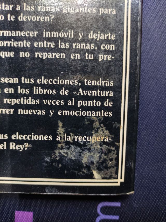 El tesoro del rey 2 D&D 9