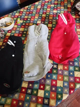 3 Felpe per Cani Taglia XS