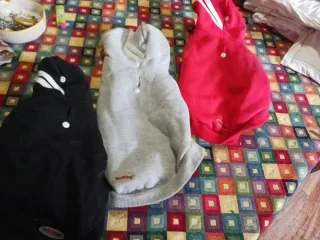 3 Felpe per Cani Taglia XS