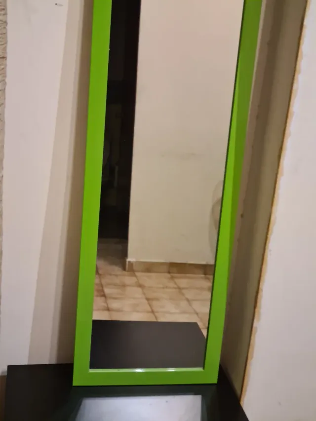 Espejo de cuerpo entero verde para puerta