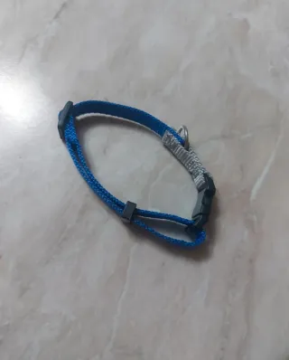 Collare per gatto blu e grigio