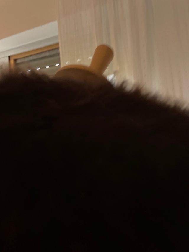 Abrigo de piel marrón con pelo