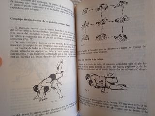 Lucha libre para niños y adolescentes (Libro 1977)