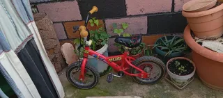 Bicicleta infantil roja