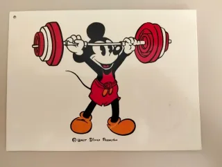 Postales Walt Disney World y Mickey