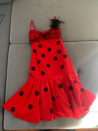 Disfraces. Trajes procedentes Musicales