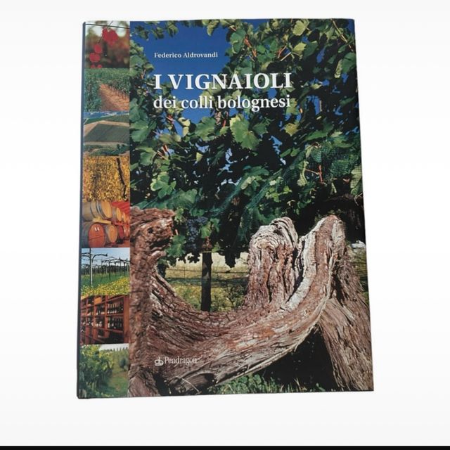 i Vignaioli dei colli bologni
