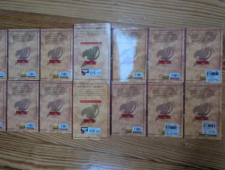 FAIRY TAIL 01 (CÓMIC MANGA) (Spanish Edition)