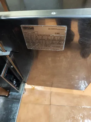 FREIDORA REPAGAS 20 LITROS 1600 €