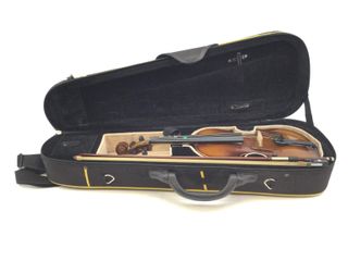 viola generico generico