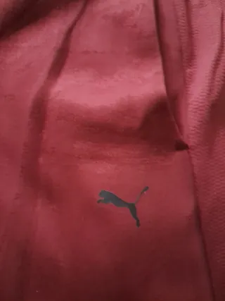 Conjunto Puma: Pantalón y Camiseta