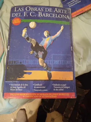 Cuadro Museo FC Barcelona