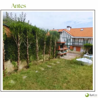 Jardinero económico