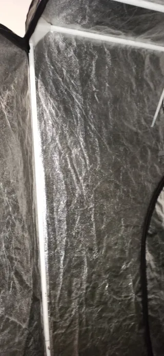 Invernadero de interior para huerto casero.