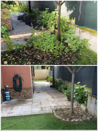 Servicios de jardinería