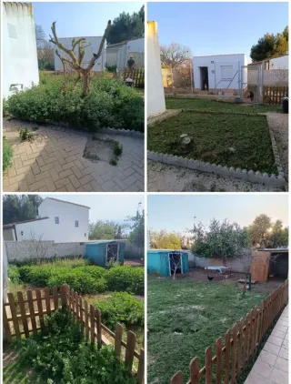 Servicios de jardinería