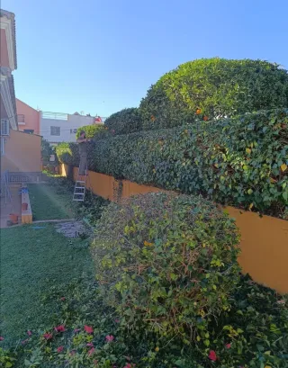 Servicios de jardinería