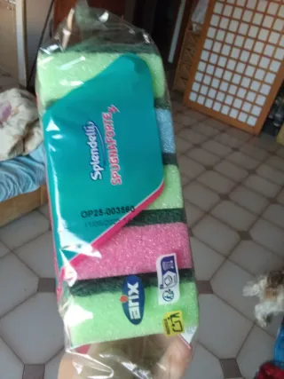 Splendelli Spugna Forte 5 pezzi