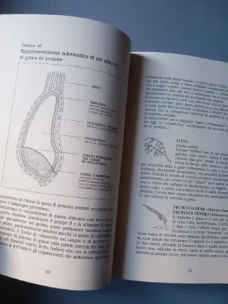 Il cucchiaio verde. La bibbia della cucina vege...
