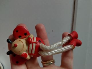 Calamita coccinella con gambe