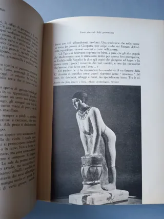 Storia piacevole della gastronomia