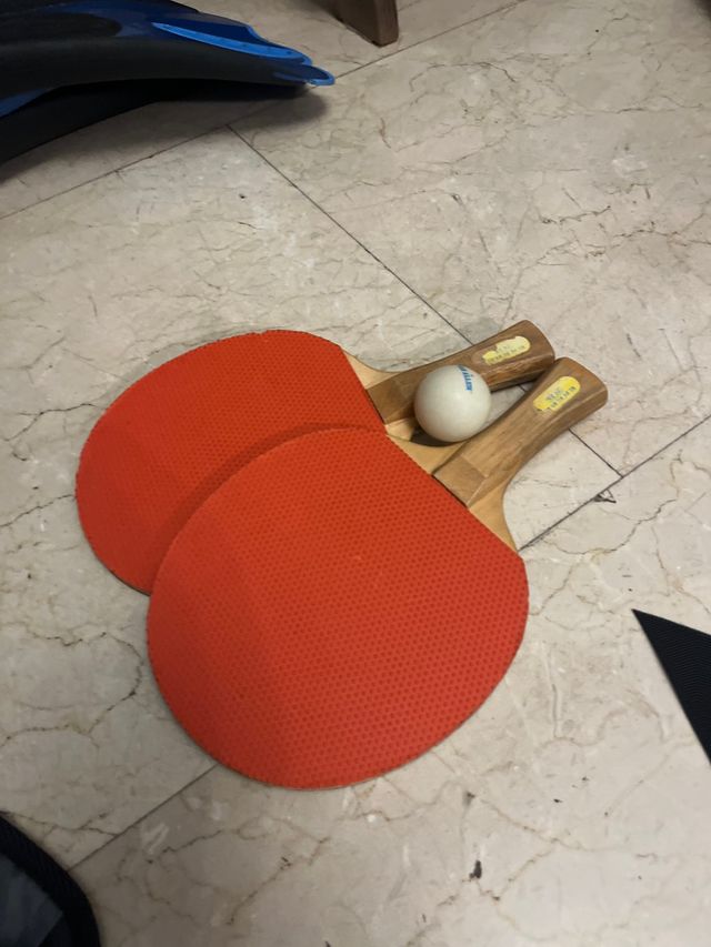 2 Palas de Ping Pong y Pelota