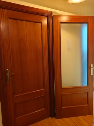 5 Puertas Sapelly (1 acristalada)
