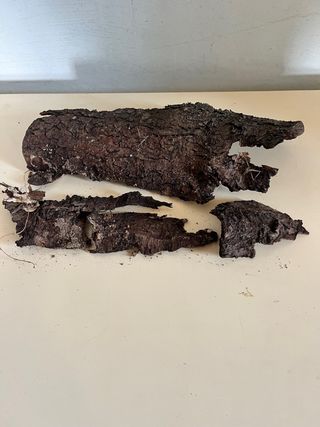 Corteccia naturale legno