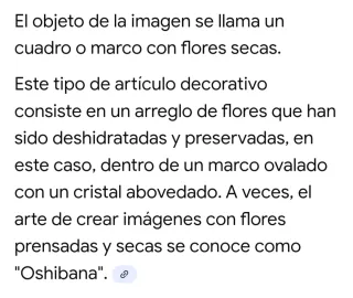 Cuadro Vintage Flores Secas