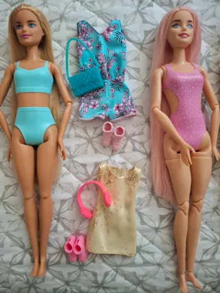 Barbie y Ken Picnic Playa