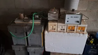 Colmenas y material apícola