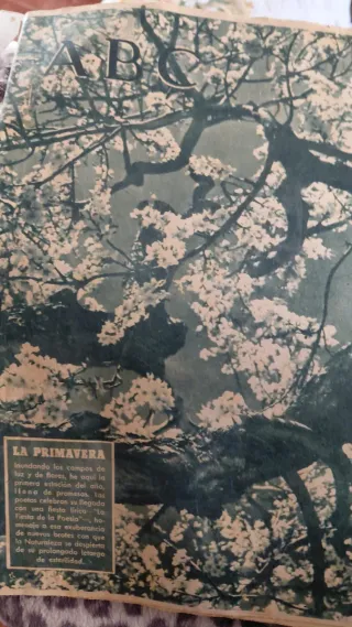 Libri antichi, chiedere il prezzo