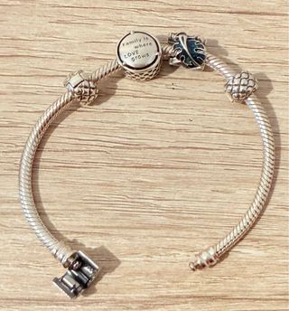 Pulsera Pandora +charms+clips